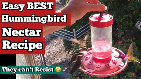 HOW TO MAKE THE WORLDS EASIEST NECTAR .